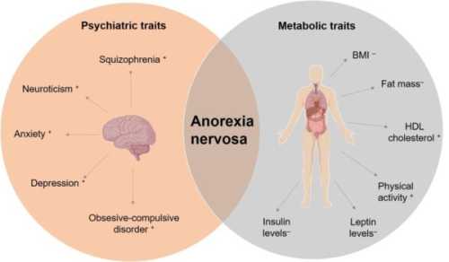 Что такое анорексия