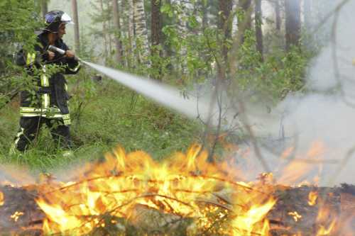 Основные причины лесных пожаров.